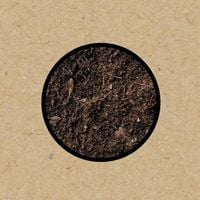 Swans - (Rope) The Beggar (Live 2024)