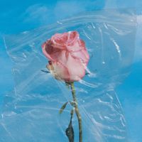 chest. - All Good Things End