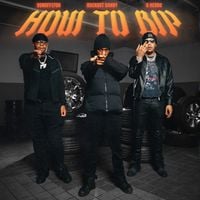 Rockout Danny - How To Bip (Remix)