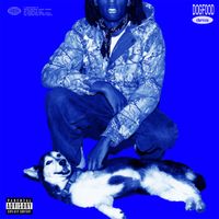 Joshua Raw - DOGFOOD demos