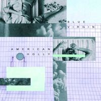 American Holly - Blue Virgin