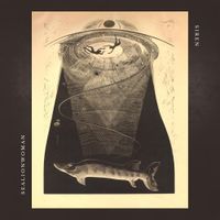 Sealionwoman - Siren