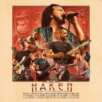Haken - Liveforms: An Evening with Haken (Live in London 2024)