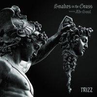 Trizz - Snakes In The Grass