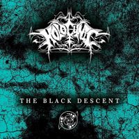 Holocynic - The Black Descent