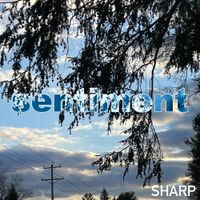 Sharp Breakcore - Sentiment