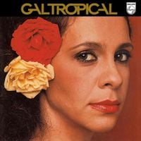 Gal Costa - Gal Tropical