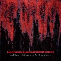 Giorgio Canali & Rossofuoco - Undici canzoni di merda con la pioggia dentro