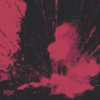 Demora - torpor