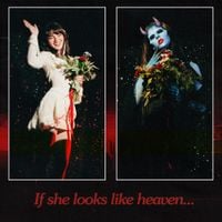 Mind's Eye - If she looks like heaven...