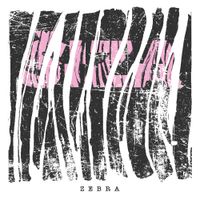 &Scaron;iza - Zebra