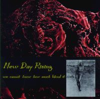 New Day Rising - We Cannot Know How Much Blood It Costs