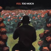 Remi Soul - Feel Too Much