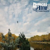 Nimeni Altu' - Contraste