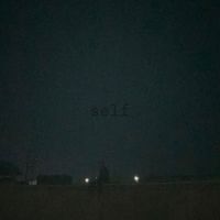 spill kit - self