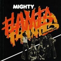 Mighty Flames - Metalik Funk Band
