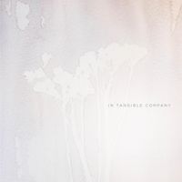 No Stranger - In Tangible Company