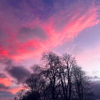 Sunset Phase - Nichibeatsu