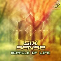 Sixsense - Miracle of Life
