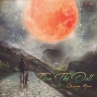 Turn The Doll - Orange Moon
