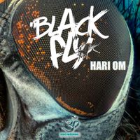 Black Fly - Hari Om