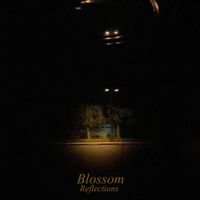 blossom - Reflections