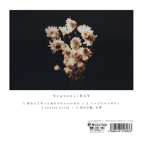 RAY - Seasons