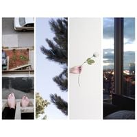 Counterparts - Witness