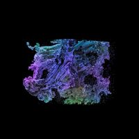 Beau Jordan - Amorphous
