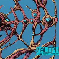 ALEPH - SPIRIT CHAMBER