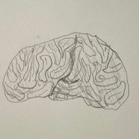 The 365 Project - 065: What Mellow's Mind Sounds Like