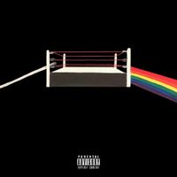 Action Figure - Dark Side Of The Ring