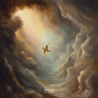 Aaryan Shah - Do You See The Birds, Too?