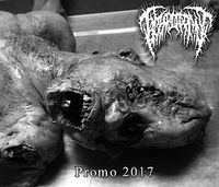 Hymenotomy - Promo 2017