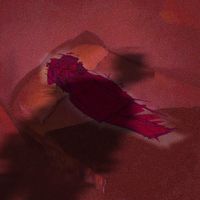 Ben Wolfe - Penance.