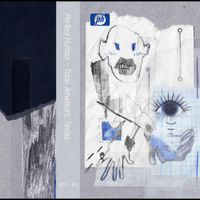 Perfect Human - Total. Amateurs. Teslas