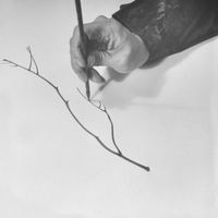 Mary Jane Leach - (f)lute songs