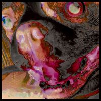 Eli S-L - Deaf Dog 1