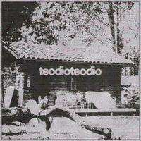 teodioteodio - teodioteodio