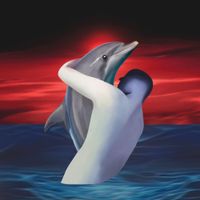 Jimi Tenor & Freestyle Man - Sinus Amoris (Songs from the Bay of Love)