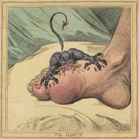 Tha God Fahim - The Gout