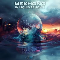 Mekhong - In Liquid Armonia