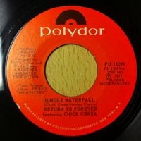 Return to Forever - Jungle Waterfall