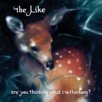 The Like - Are You Thinking What I'm Thinking?