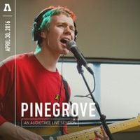 Pinegrove - Pinegrove on Audiotree Live