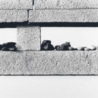 Chihei Hatakeyama - Moon Light Reflecting Over Mountains
