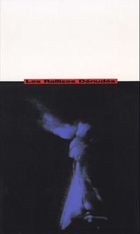 Les Rallizes D&eacute;nud&eacute;s - 裸のラリーズ [Les Rallizes D&eacute;nud&eacute;s]