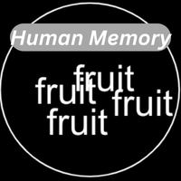 fruitsbaskets - Human Memory