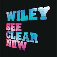 Wiley - See Clear Now