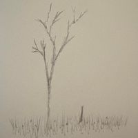 The 365 Project - 067: Nature Recordings and Birdsong for Some Future Use